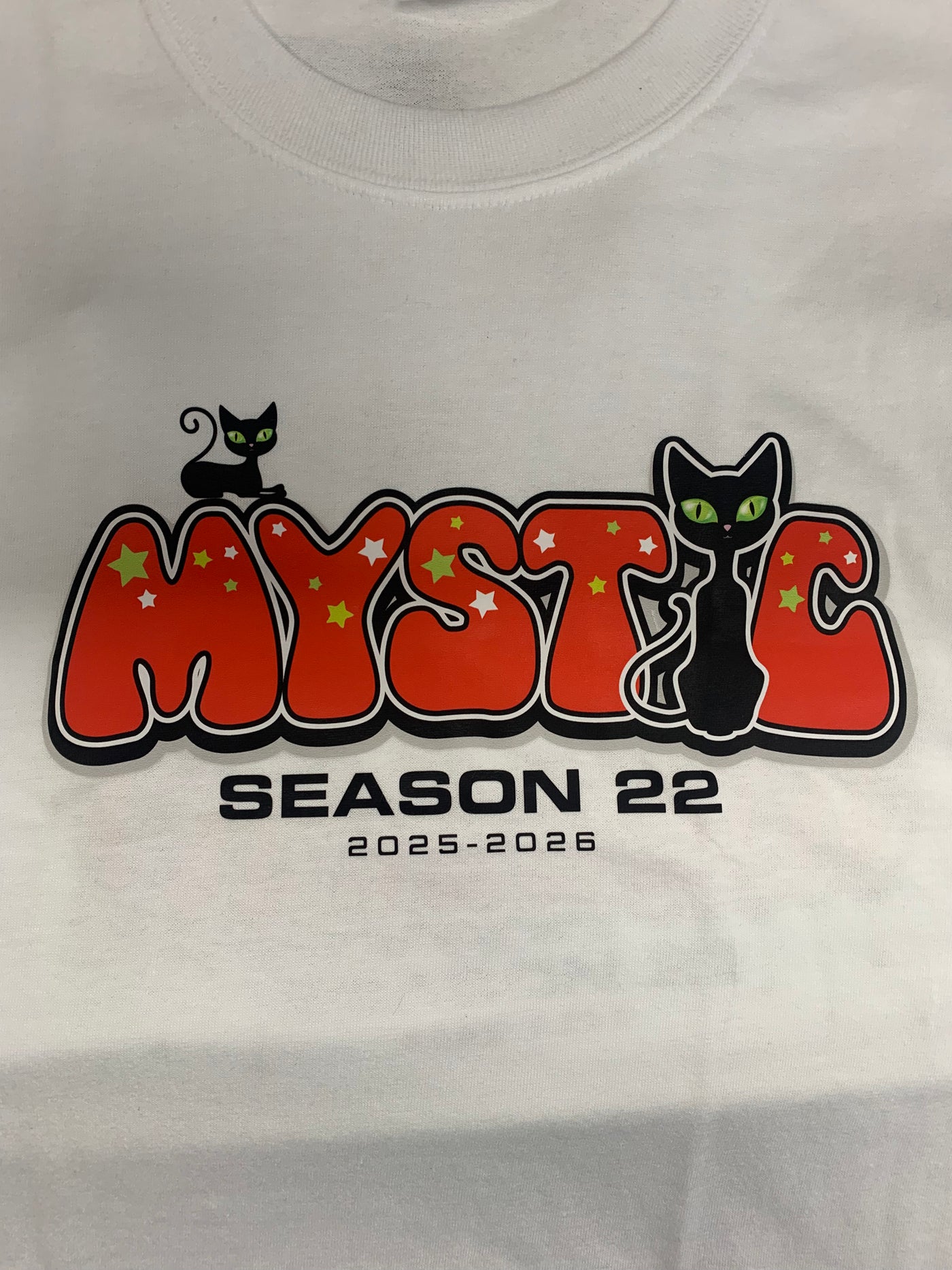 Season 22 - Team T-Shirt